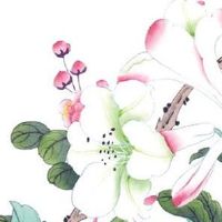 2022年4月20日谷雨出生的属虎女宝宝取名 好听到爆的名字