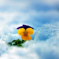 2020年1月19日出生的男孩被命名，儒家的名字很好。