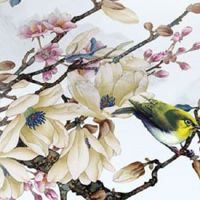 测手机尾号后四位吉利 吉星招财的号码数字