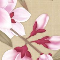 新能源车牌靓号 连号吉祥的车牌号码