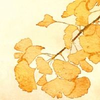 今年，2022年的时间和方法必须隐藏几点