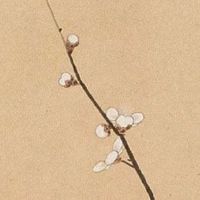 搬家当天吃什么饭最好 新物品带来新好运