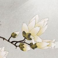 汽修厂名字大全好听 店铺起名兴旺招财