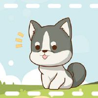 2022年3月生肖狗犯烂桃花如何转运 风吹草动提高警觉