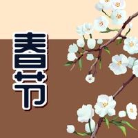 春节是什么意思？