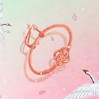 今年的性质是什么？