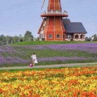 2022年八道十二生肖的原因是什么？