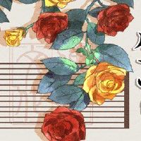 第12届黄道带春节是必要的攻略！ （必看）