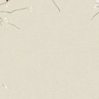 69年鸡土命人手机号吉祥号码 财运大吉的号码数字