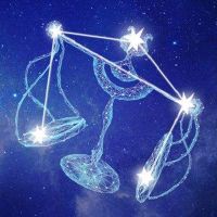 Libra 2022年度财富详细的Libra 2022 2月财富