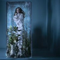 出生的美丽胚胎，新鲜精致，三大星星