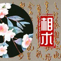 较低的Saga的女性面孔