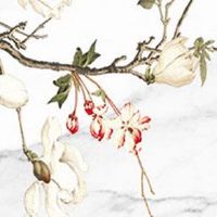 五金店店名叫什么最好 优美大气的店铺起名