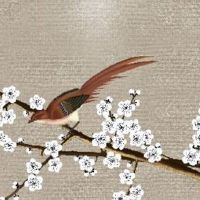 最新的汽车美容店名字大全 店铺起出众大气的名字