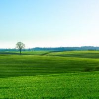 5月6日星期六出生的女婴的名字是什么？