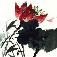 2022年5月3日出生最佳女宝宝名字鉴赏 寓意美好的女孩起名