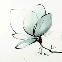 2022年5月4日出生的女宝宝名字合集 有品位的女孩取名