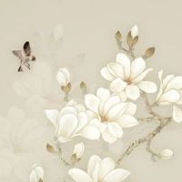 买二手车能用原车主车牌吗 二手车过户具体流程