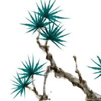 属牛人2022年运势详解 2022年肖牛者感情和睦