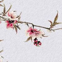 汽车修理厂名字怎么取 寓意美好店铺起名大气