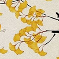 智慧线太长了到手根了 智慧线过长大富大贵