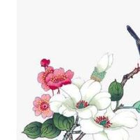 手相智慧线中间分叉 支配欲望强烈