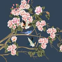 选新能源车牌号技巧 易经解读车牌数字