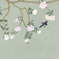 二手车可以自选号牌吗 贵人助运的车牌号码