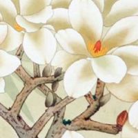 汽车贴膜店名字霸气的名字 店铺起名潮流时尚