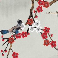 本命年是按照农历算还是阳历算 本命年可以按实岁虚岁算吗