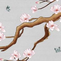 属牛人虎年运势2022 生肖牛2022年金玉满堂