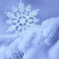 2020年21日出生的婴儿的名字是什么？