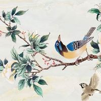 属马的幸运属相 交运注意事项与忌讳生肖