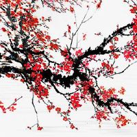 属马的什么时候走大运 民间交运的忌讳事件