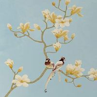 二手车选号技巧靓号 发财顺利的车牌号码