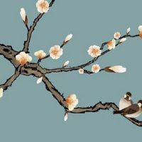 中国春节有什么禁忌 春节不吉利的行为盘点