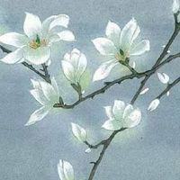 2022年6月6日芒种生肖相冲查询 属相对冲一览