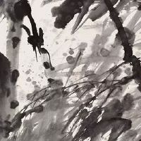 2010年属虎的男孩是什么命 虎男猪女可携手一生