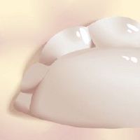 什么是传统食品饺子和猪肉？