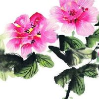 二手车能选择自己要的车牌号 最新二手车牌选号规则