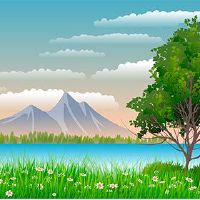 86的半衰期婚姻是好的吗？年龄的生命是什么？