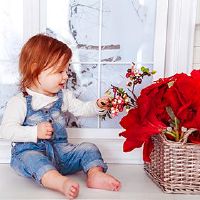 12月4日，2022年出生，出生，婴儿，名字2022免费八字