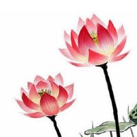 小商店名字大全 招财店铺取名宜用字盘点