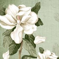 百货店铺起名大全免费 新店铺起名好听有创意