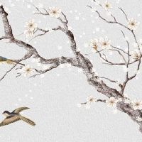 本命年的红色内衣内裤不能自己买吗 长辈赠送红内衣躲太岁