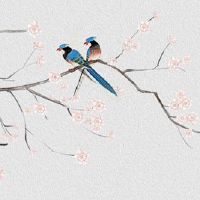 本命年都穿几样红色的东西 都需要买什么