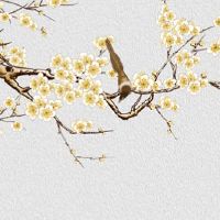 本命年的红色内衣应该谁买 女儿给父母送红有福报