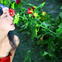 不仅看起来不错，还有三个大明星女性在心里，关键是最受欢迎的！