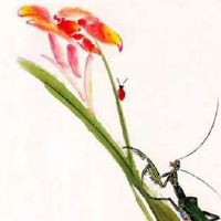 倒顺子车牌号765好不好 大顺车牌号码的价值