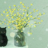 初四立春是几时几分 2022年2月4日4点50分36秒